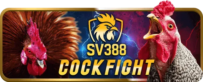 Chương trình VIP zalv777